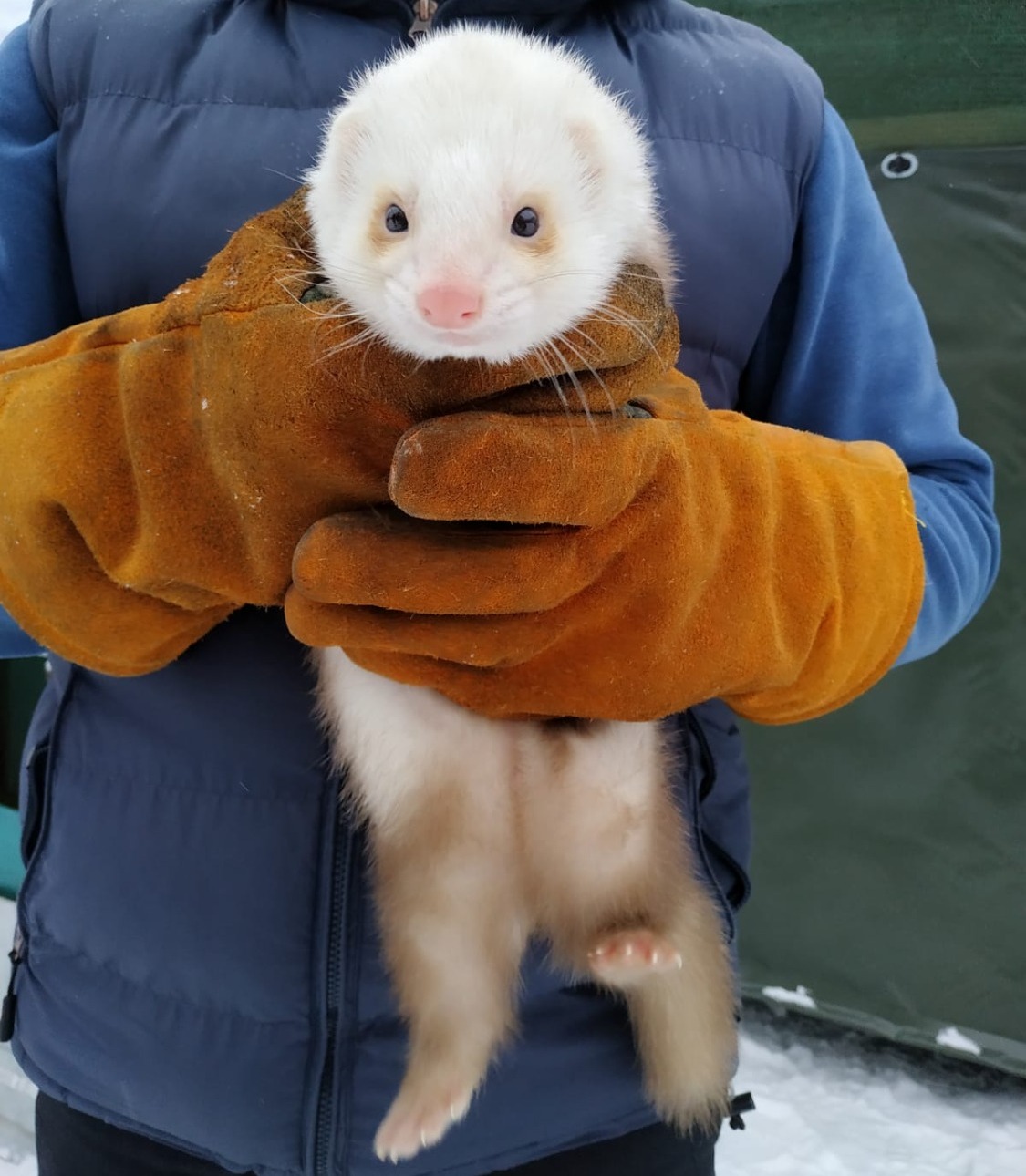 Яна Калинина