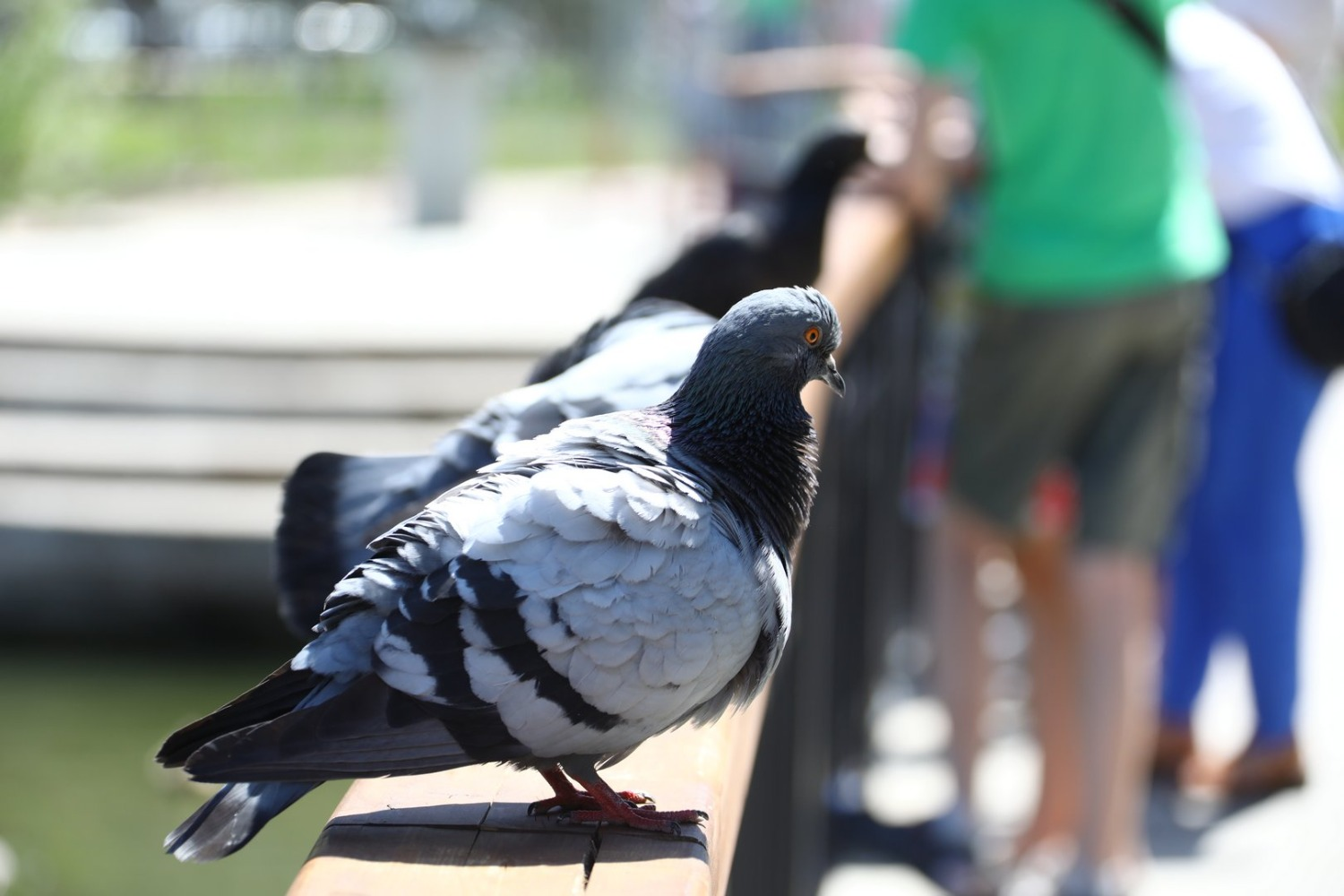 Валерий Шахов
