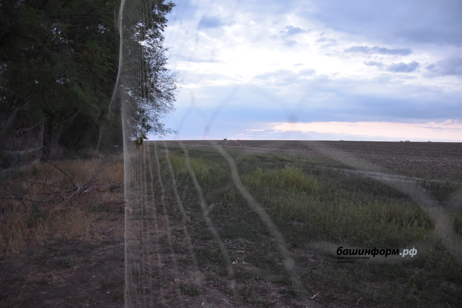 Эдуард Кускарбеков