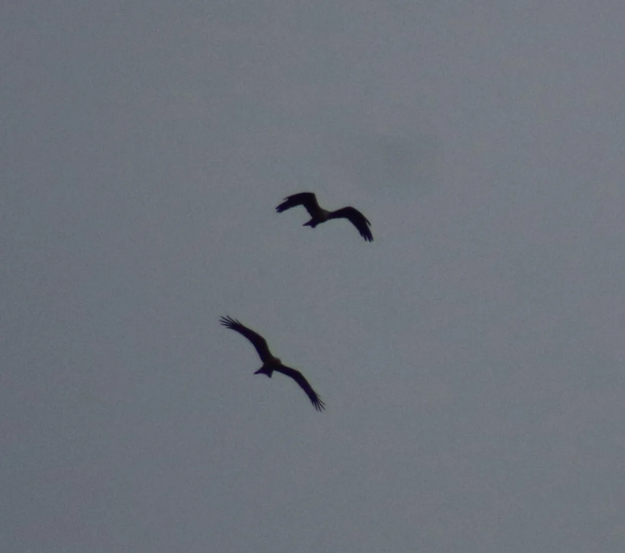 Национальный парк «Башкирия», Vk