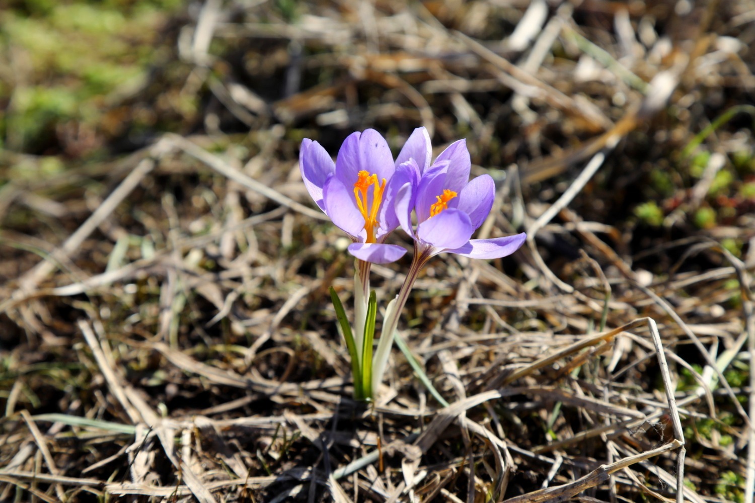 Валерий Шахов ИА «Башинформ»
