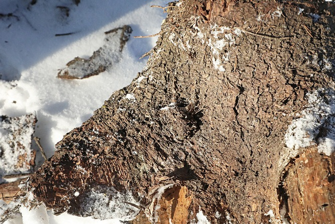 Пресс-служба Администрация г. Уфы