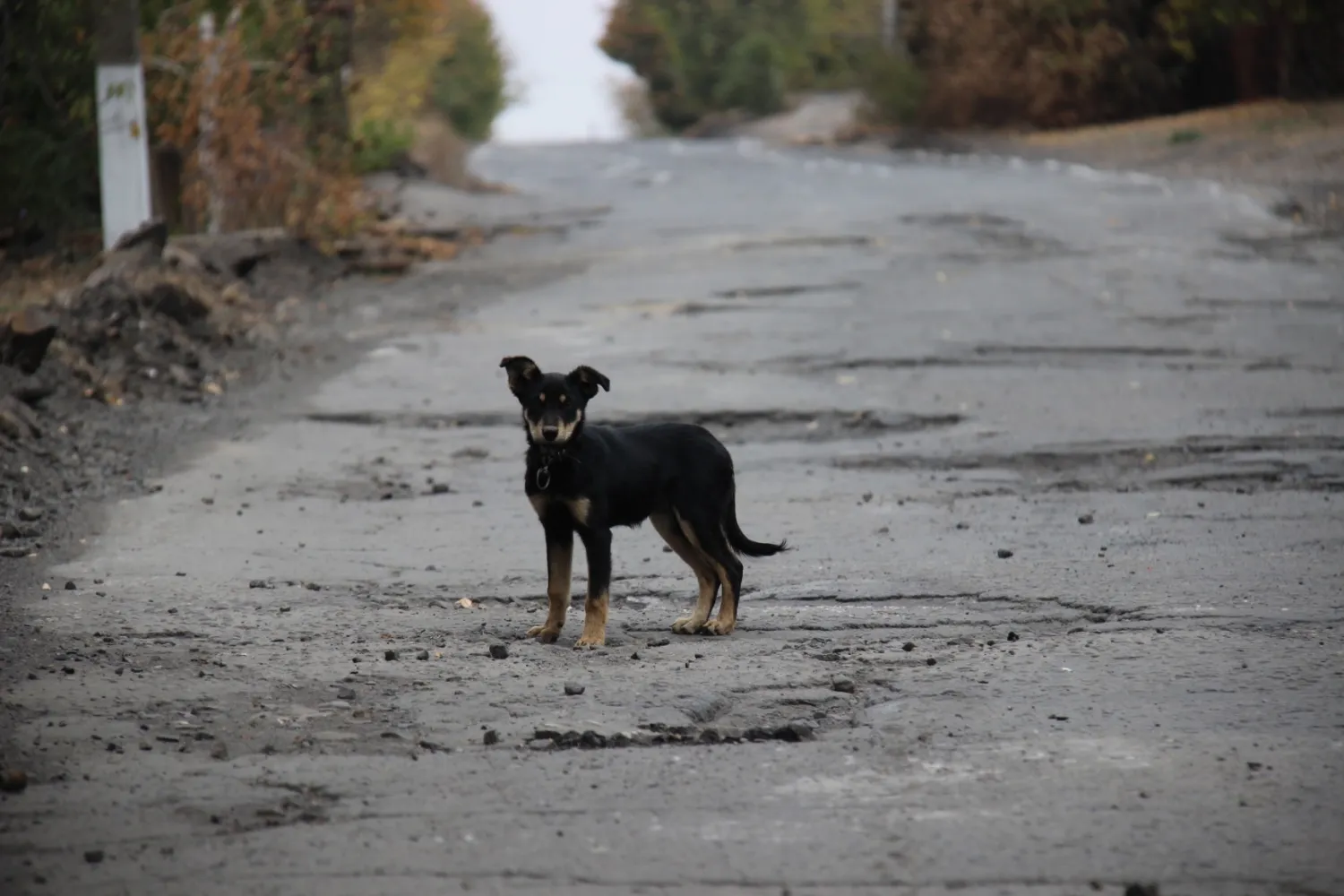 Эдуард Кускарбеков