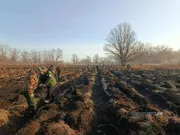 пресс-служба администрации Уфы соцсети