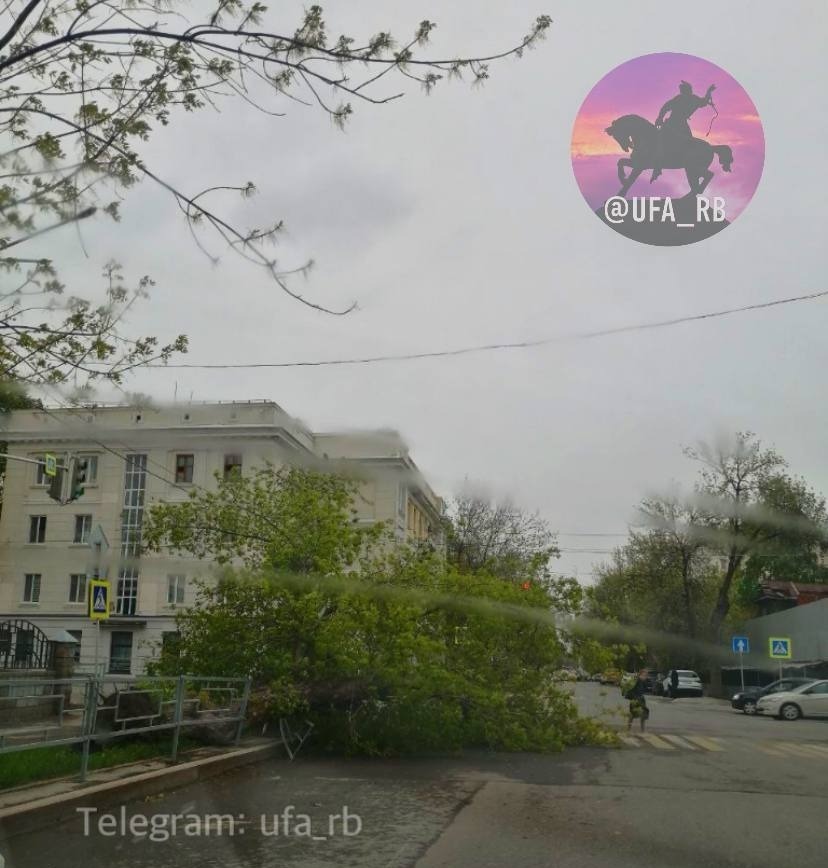 телеграм-канал @Ufa_rb | Новости. Уфа Башкортостан