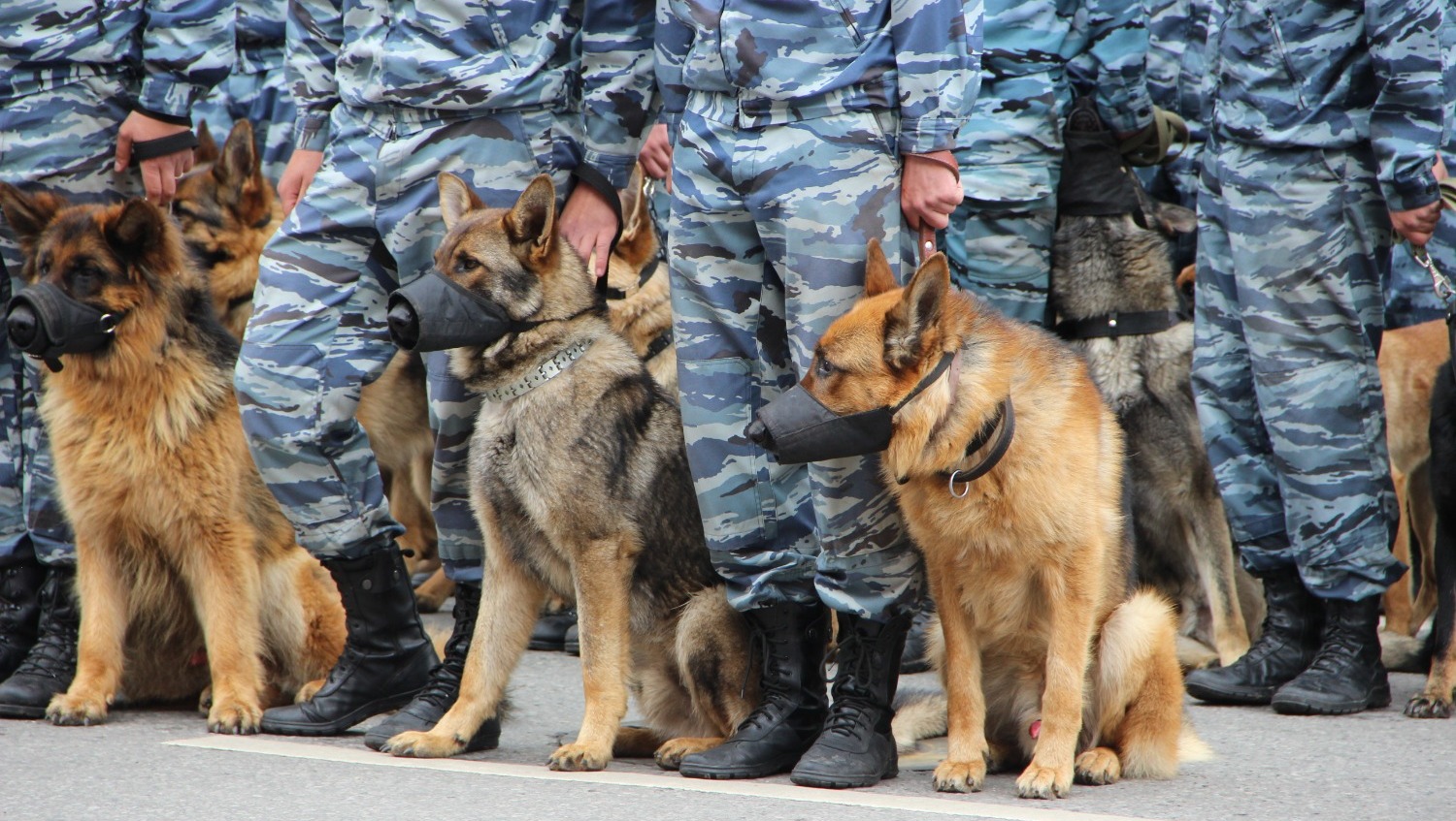 Ксения Калинина