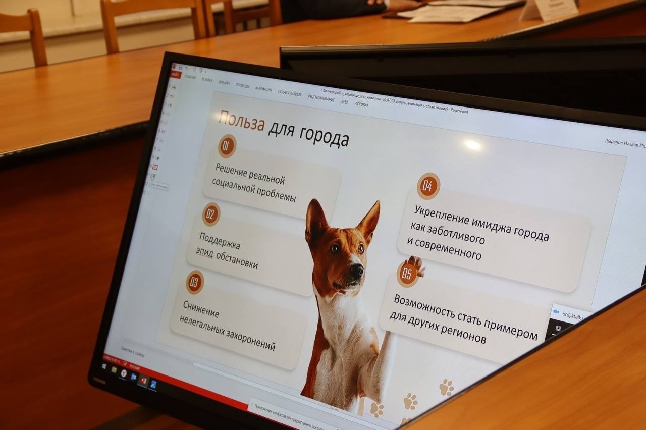 Рустем Хамитов Тг-канал