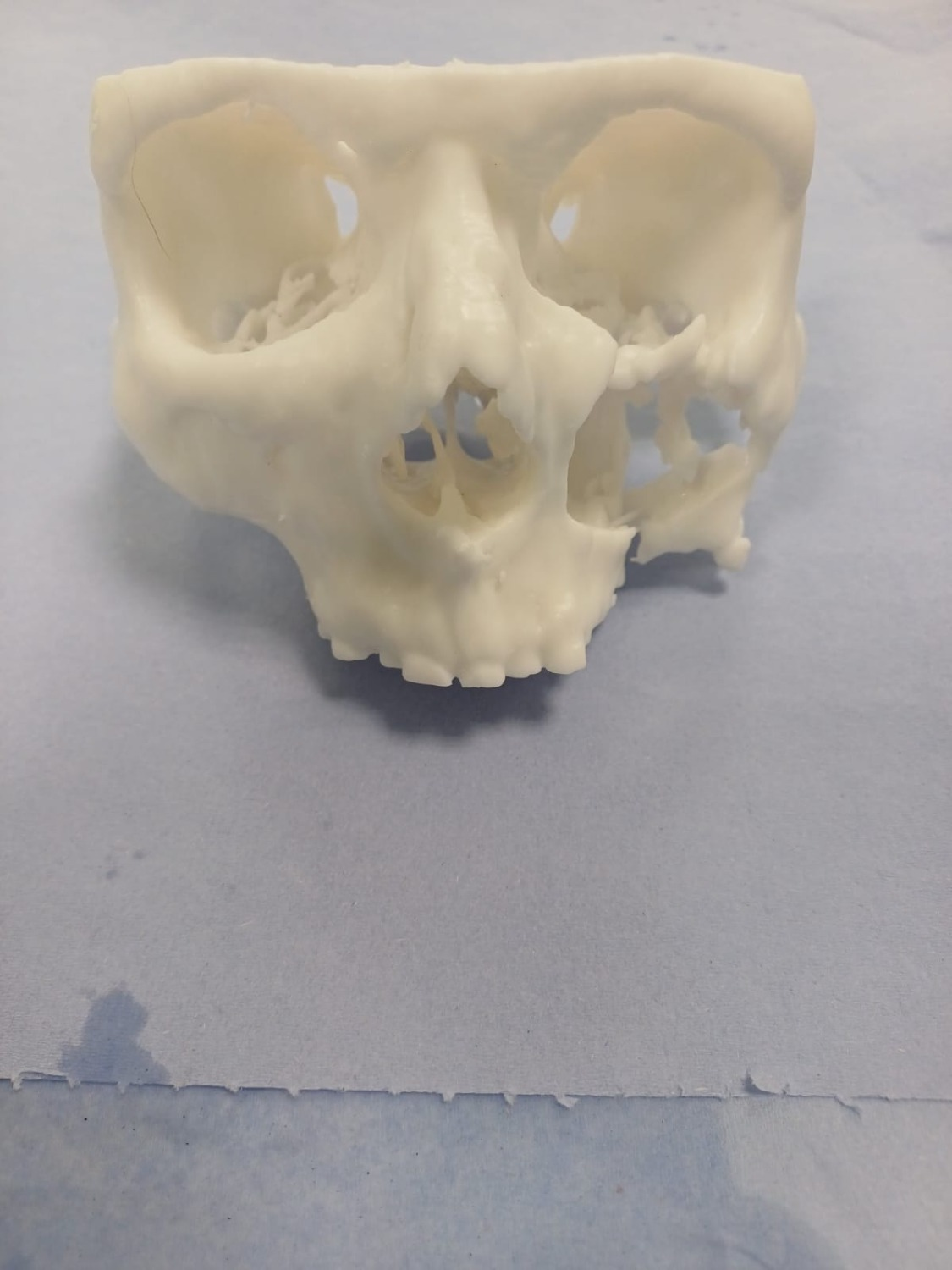 БГМУ Минздрава России Пресс-служба