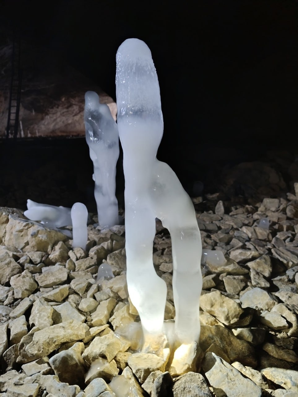 пресс-служба Государственный заповедник «Шульган-Таш»