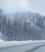 Автор ИА Башинформ