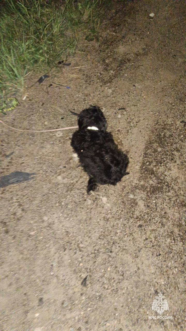 главное управление МЧС по Республике Башкортостан