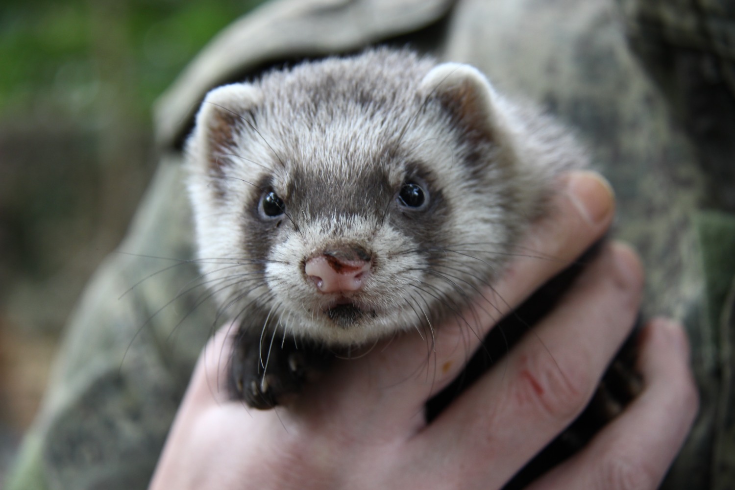 Эдуард Кускарбеков