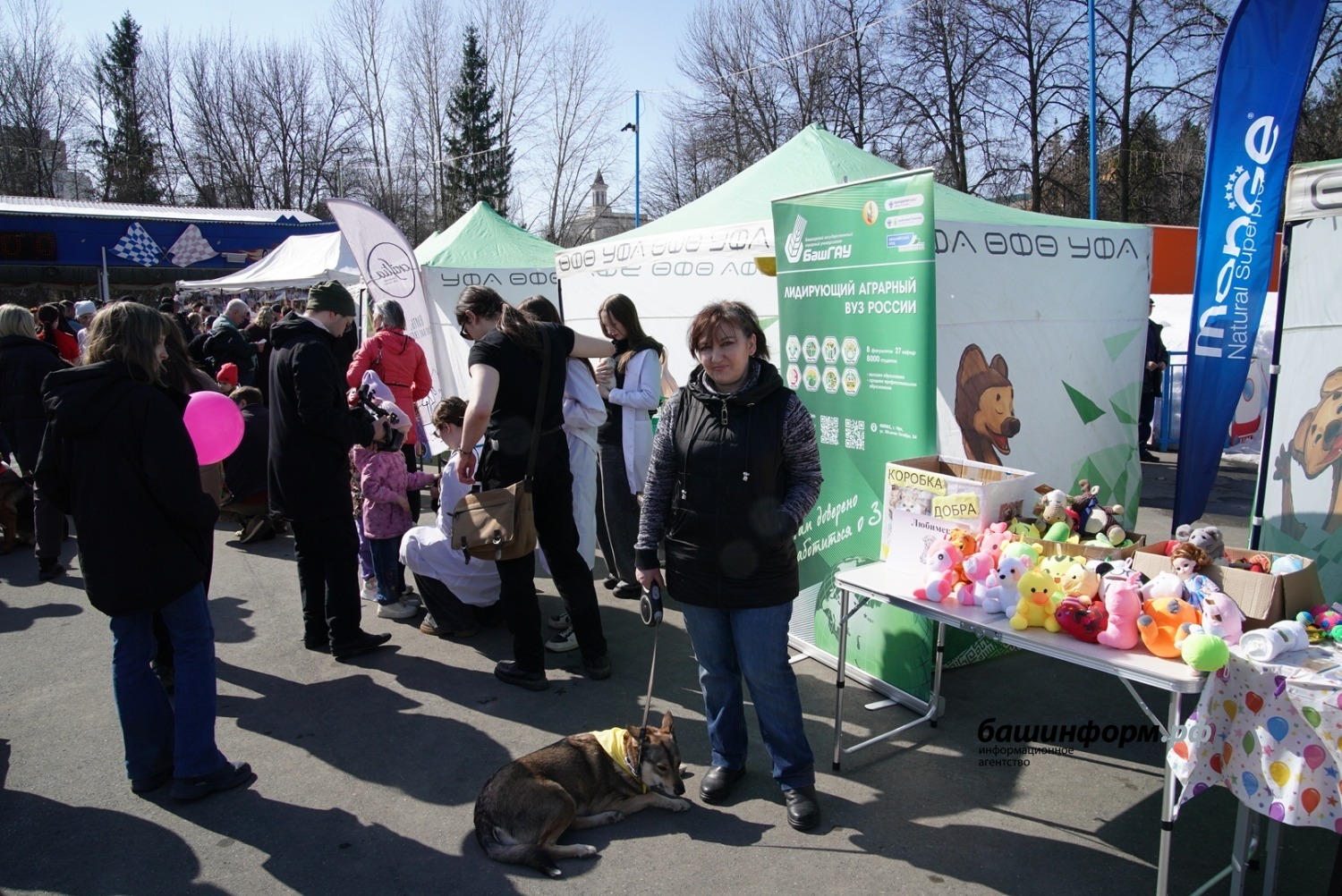 Олег Яровиков  ИА «Башинформ»