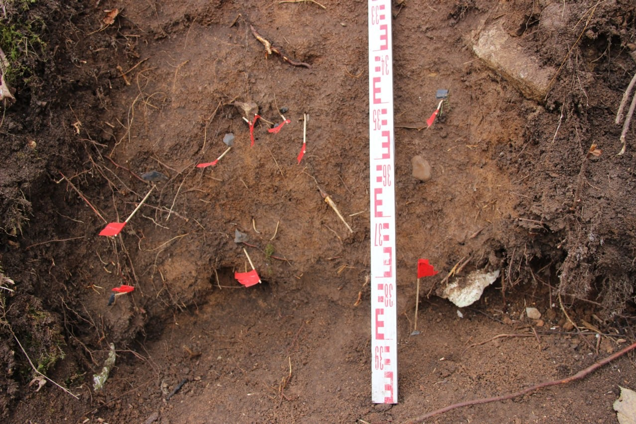 пресс-служба Института истории, языка и литературы УФИЦ РАН npbashkiria.ru