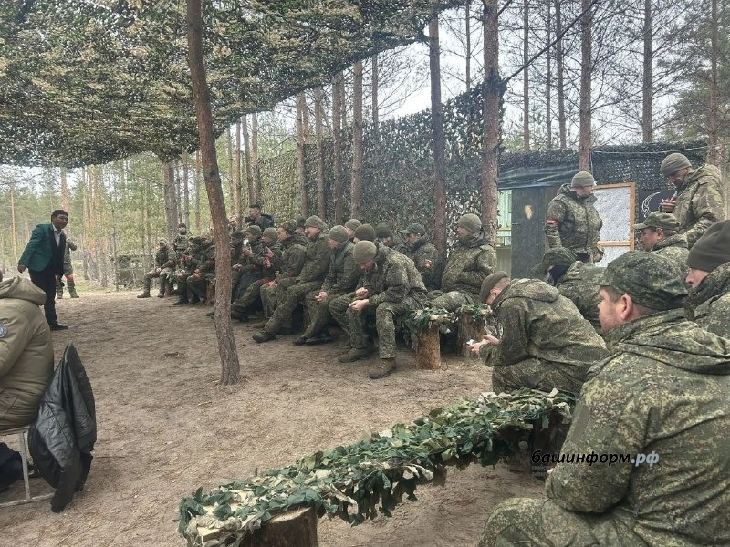 Нефтекамская госфилармония телеграм-канал Амины Шафиковой