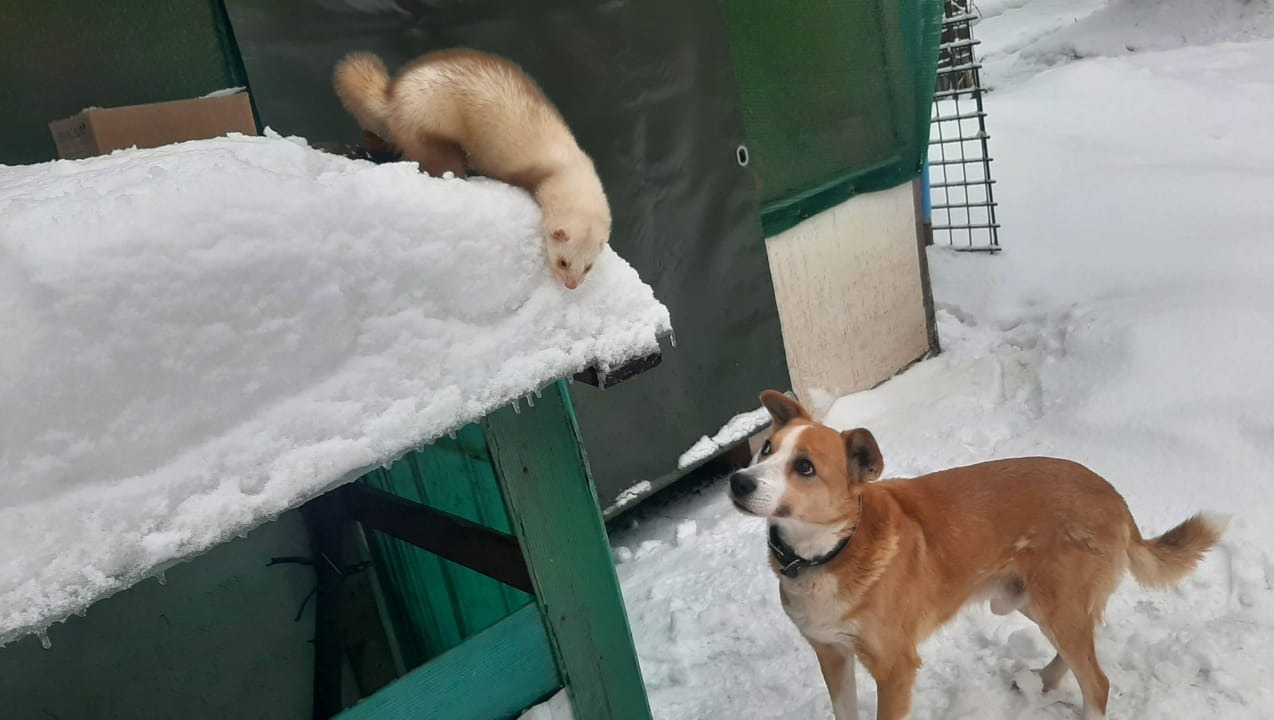 личный архив Андрея Жерновкова