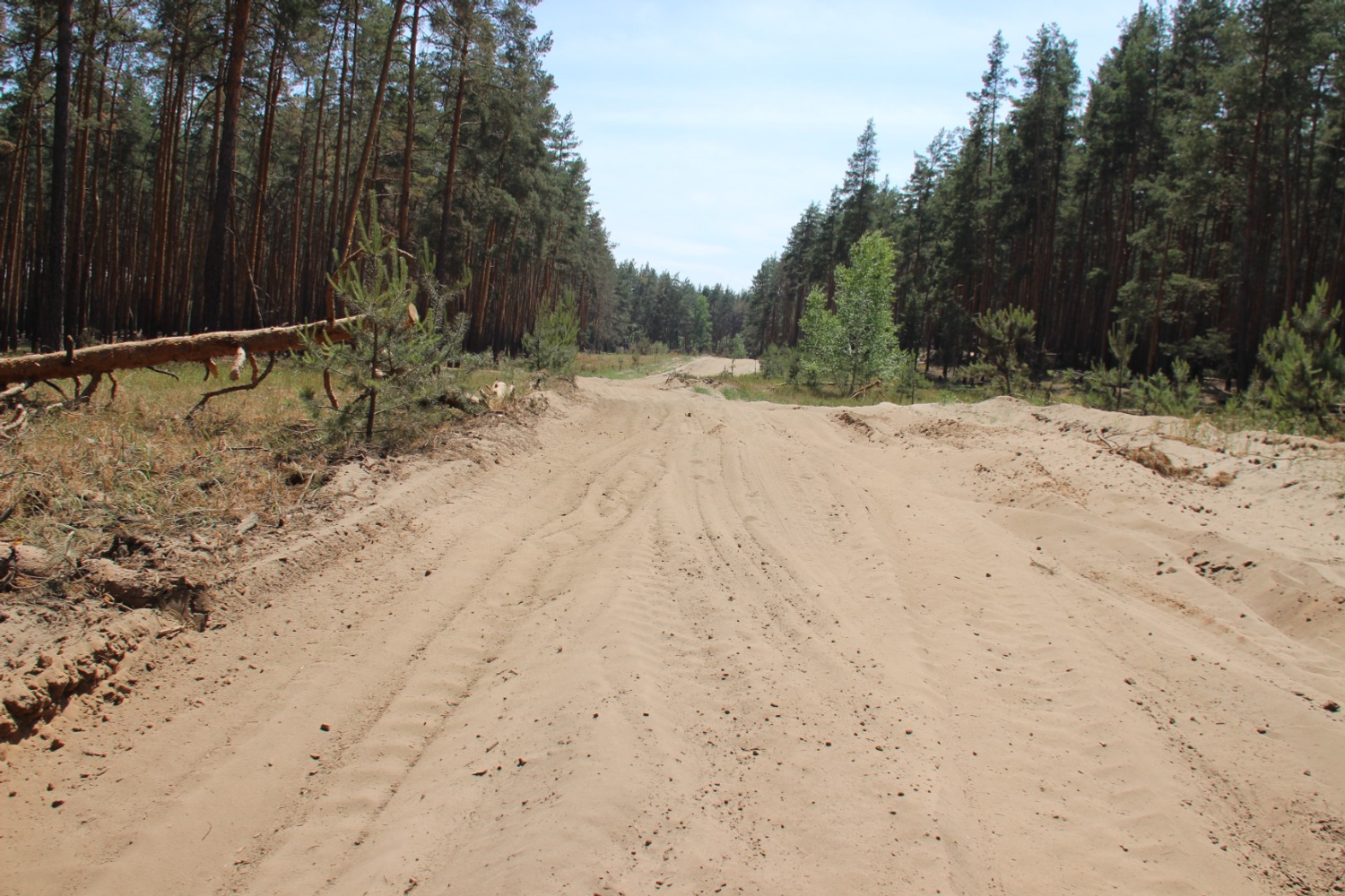 Эдуард Кускарбеков