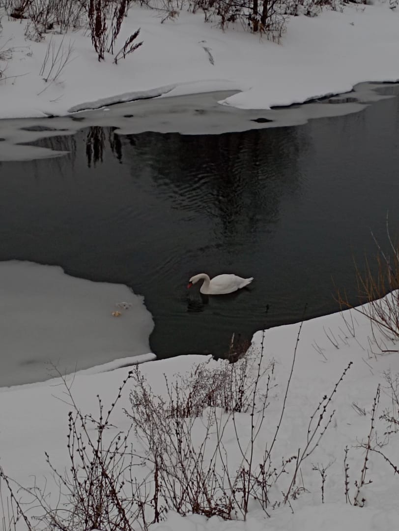 минэкологии РБ