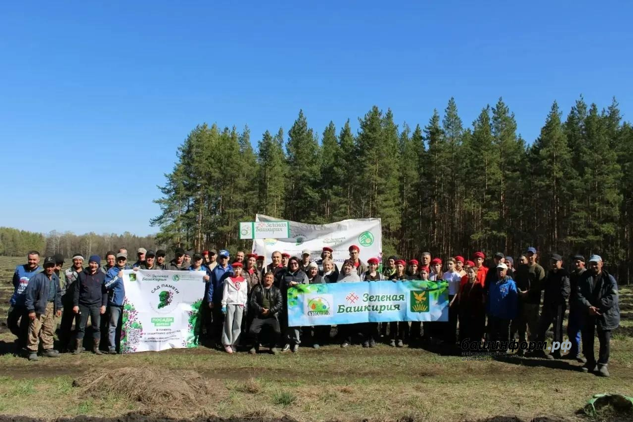 соцсети Радия Хабирова