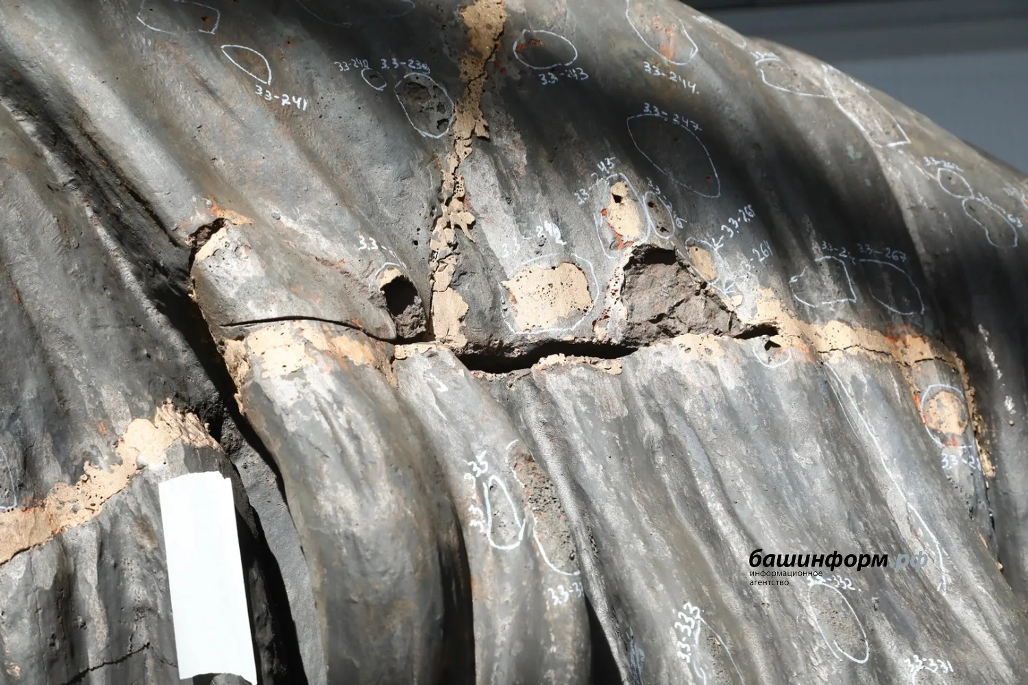 Валерий Шахов ИА Башинформ