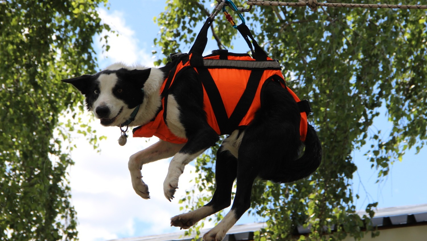 Ксения Калинина