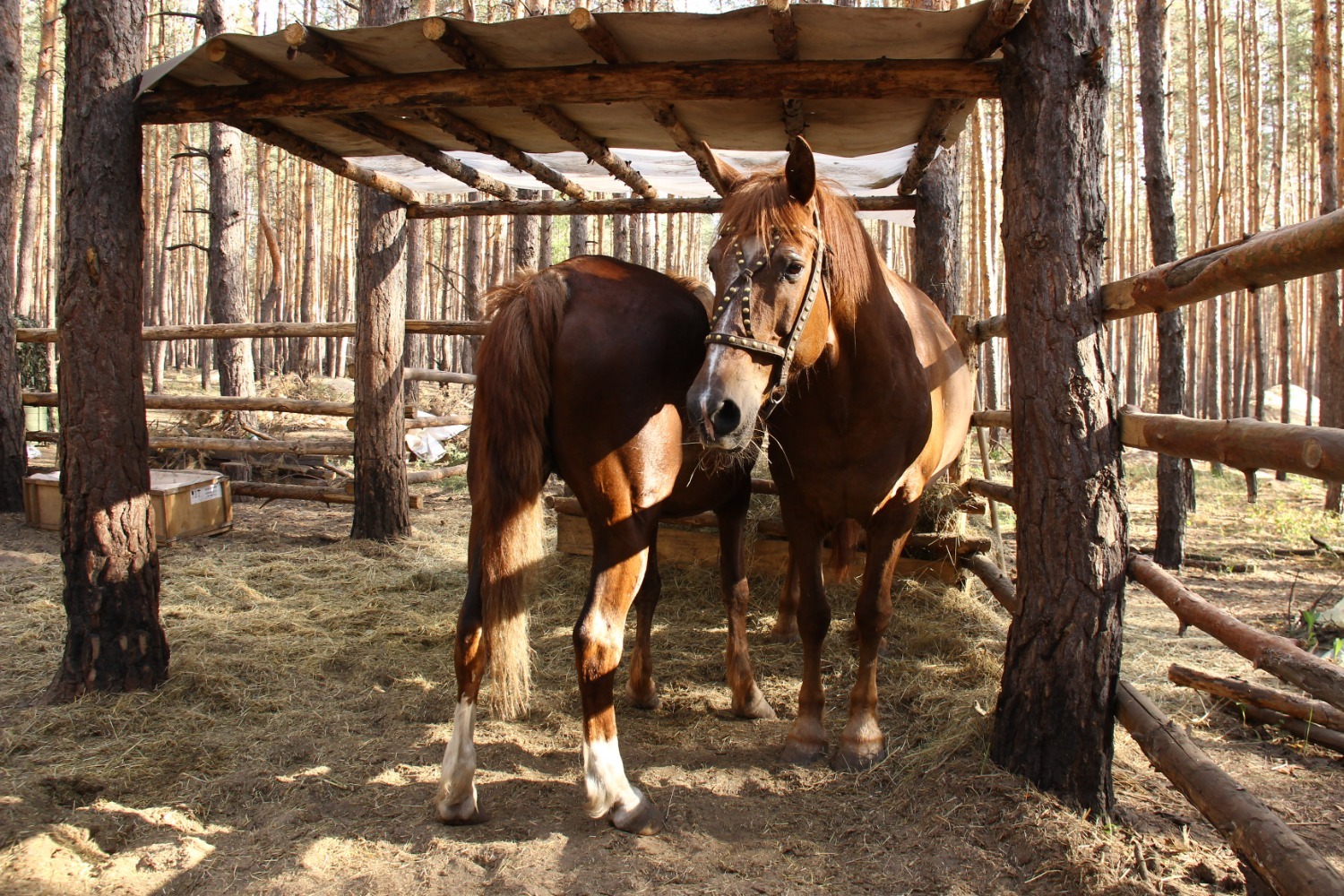 Эдуард Кускарбеков