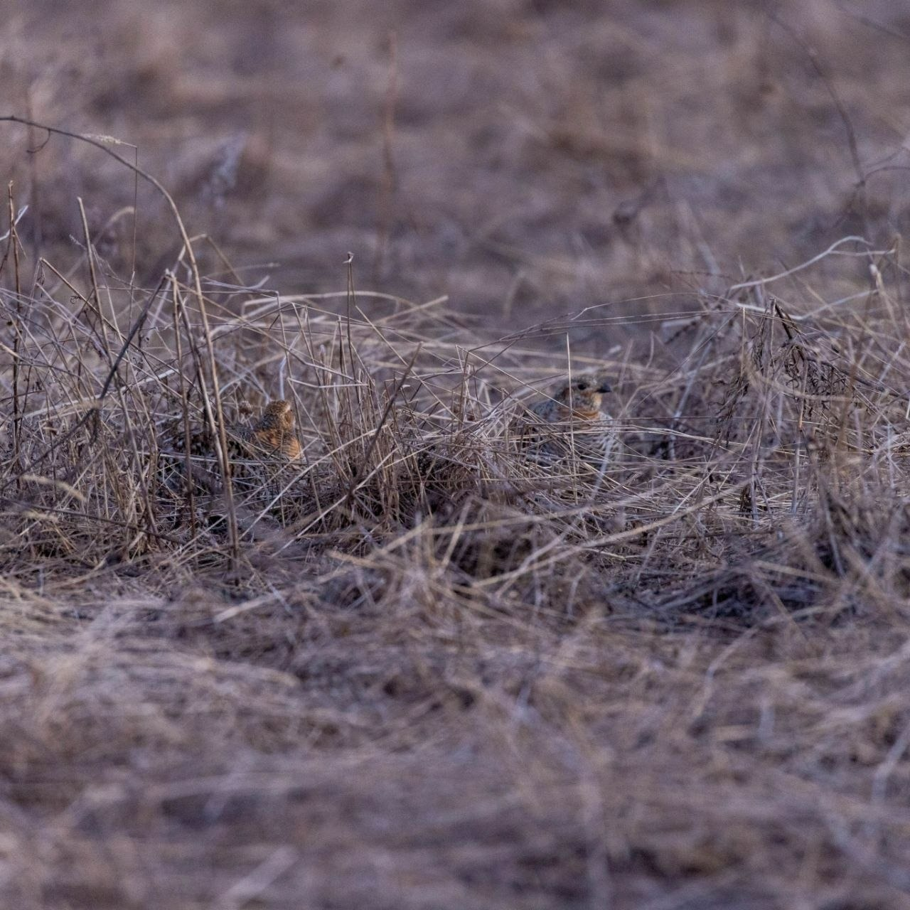 пресс-служба нацпарка «Башкирия»
