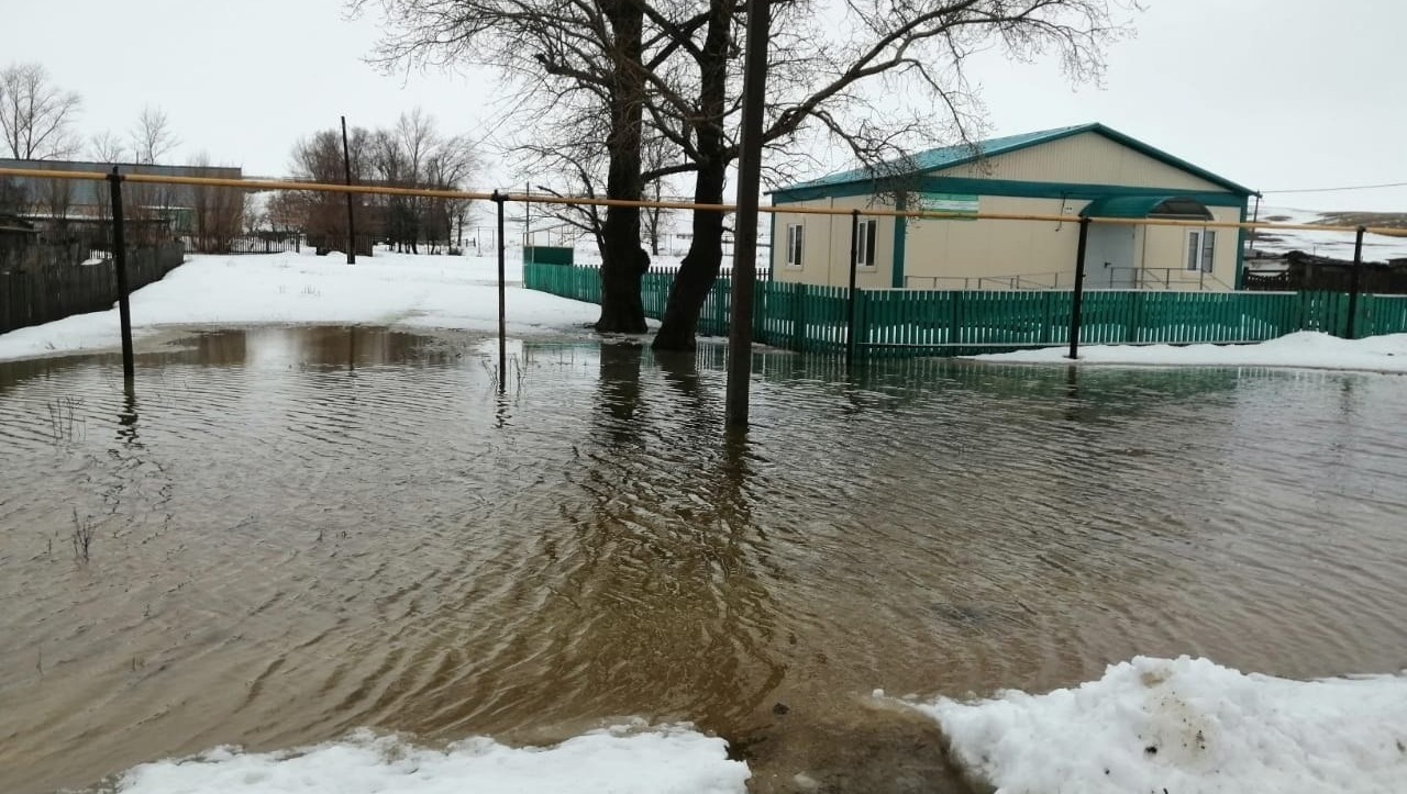 Рустам Шарипов, телеграм  Хайбуллинский район, 27 марта