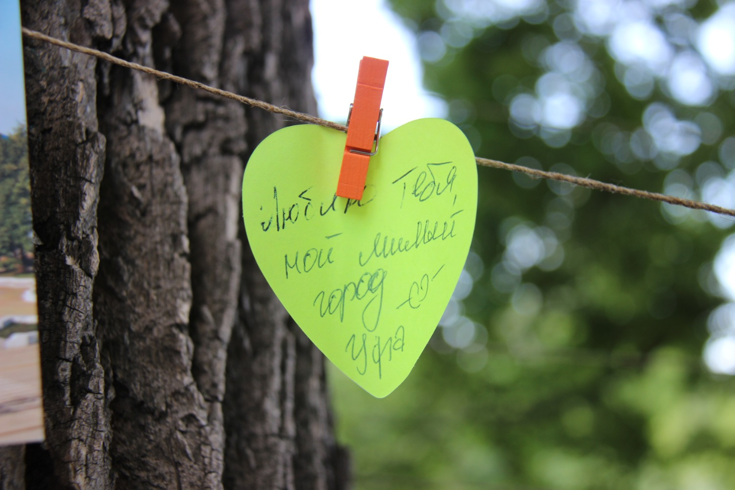 Эдуард Кускарбеков