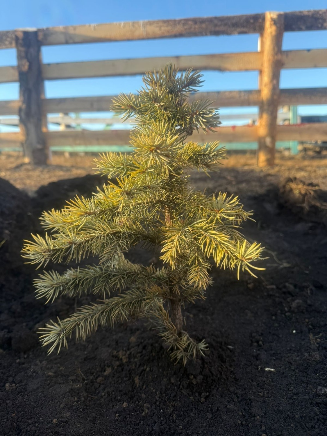 пресс-служба администрация Баймакского района