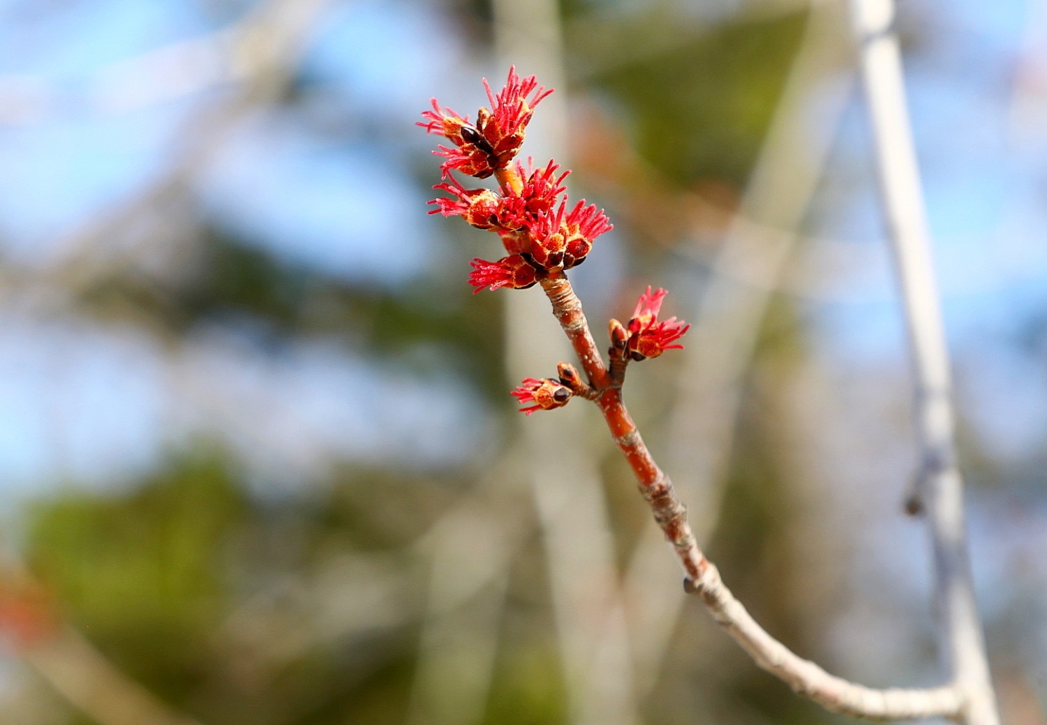 Валерий Шахов ИА «Башинформ»