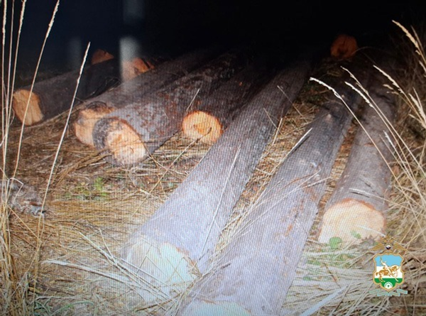 пресс-служба  МВД по РБ