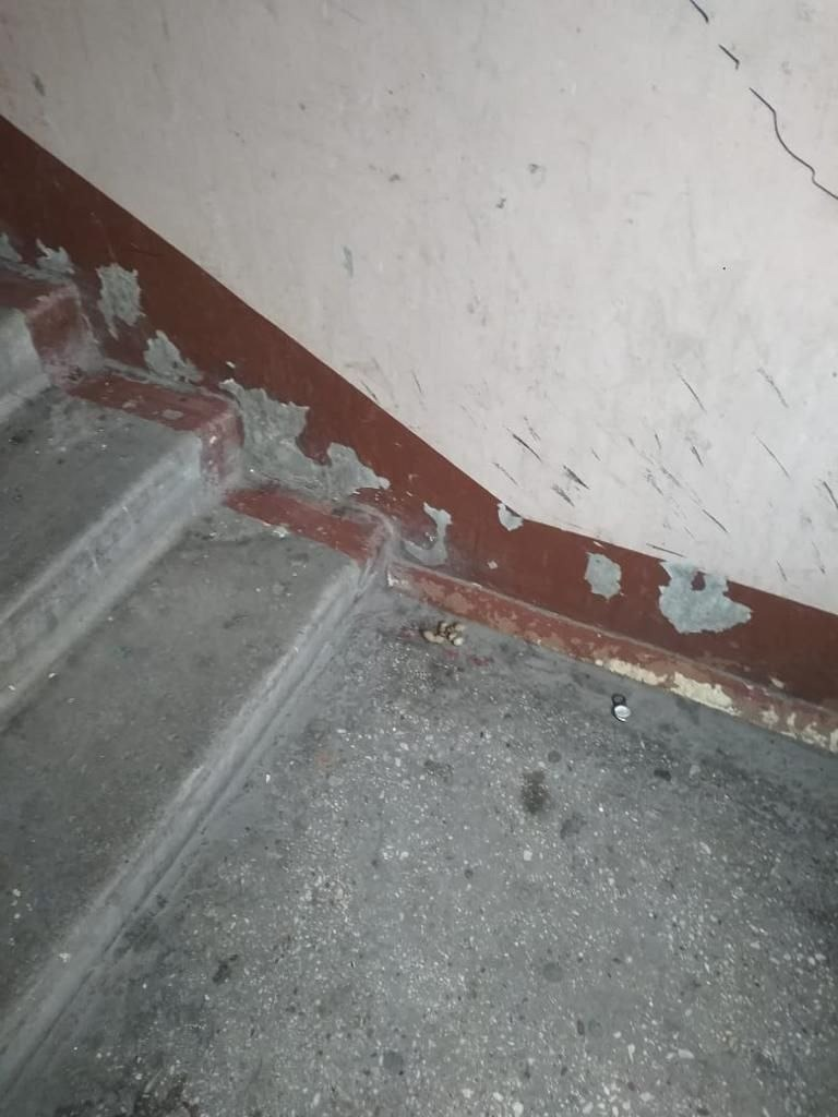 Татьяна Кочанова Личный архив