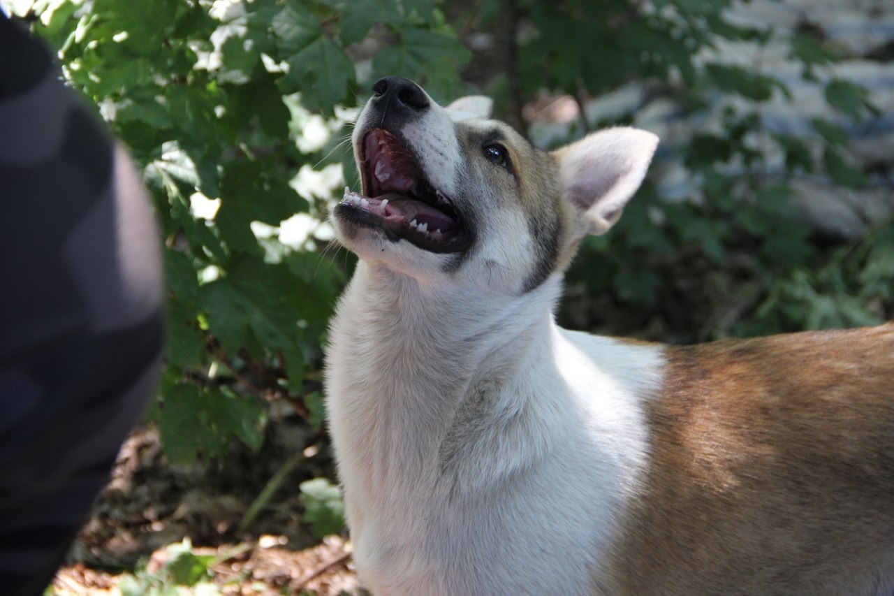 Эдуард Кускарбеков