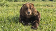 Олег Яровиков архив ИА «Башинформ»