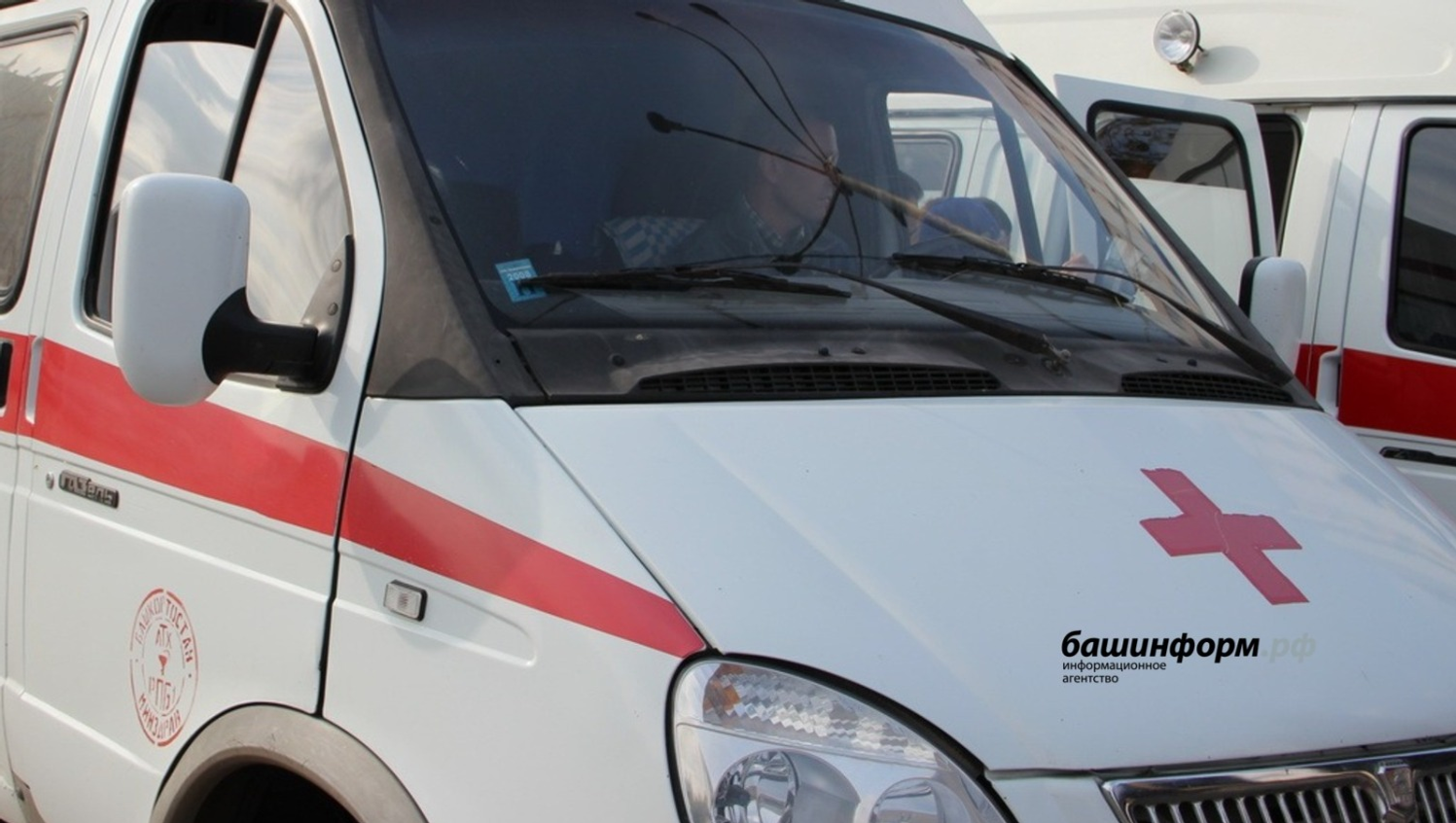 Ксения Калинина