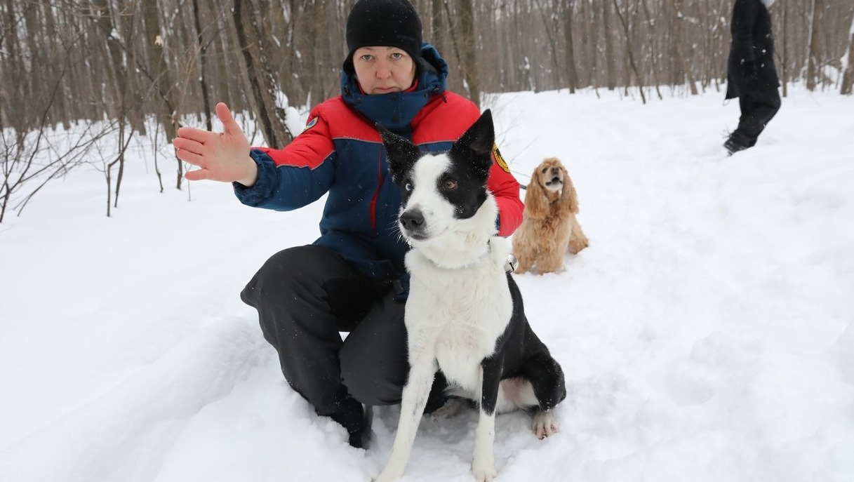 Валерий Шахов