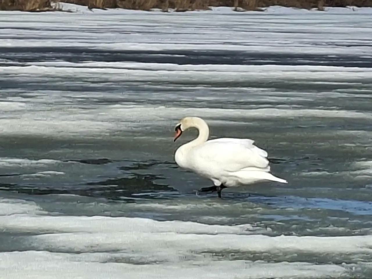 соцсети  Андрея Назарова