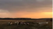 Ксения Калинина