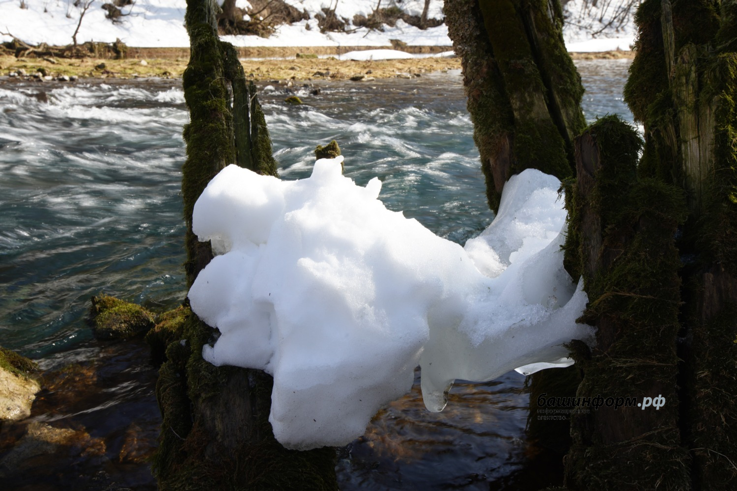 Олег Яровиков ИА "Башкортостан"
