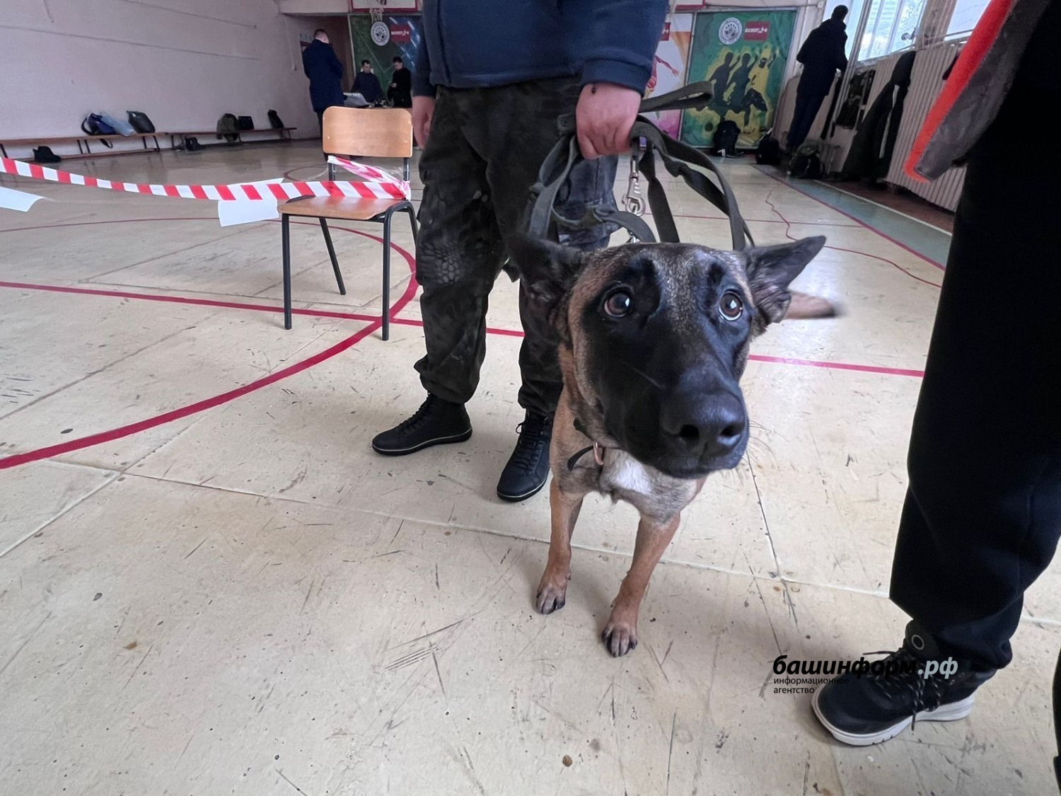 Ксения Калинина