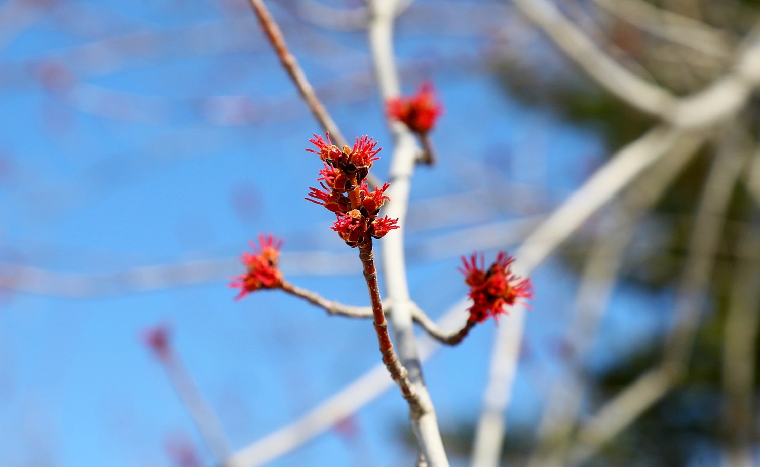 Валерий Шахов ИА «Башинформ»