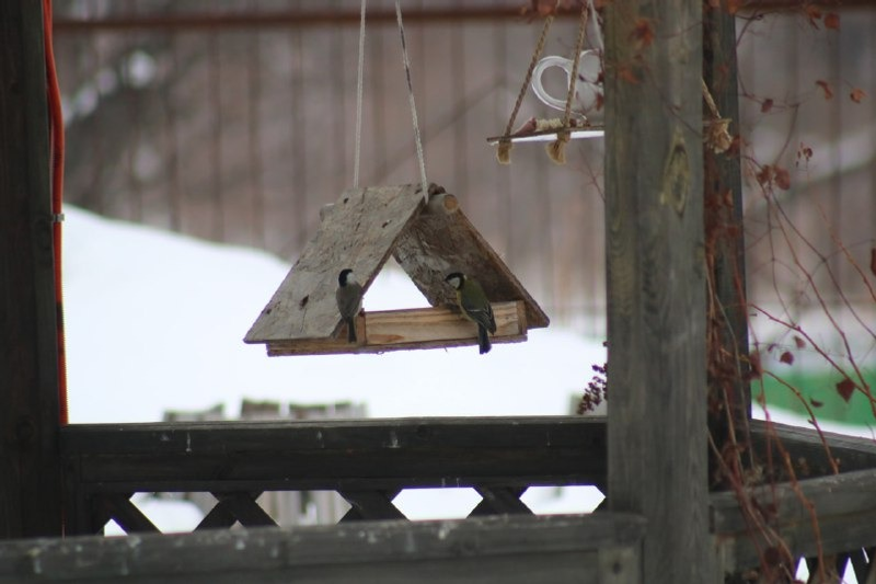 Нацпарк «Башкирия» ТГ-канал