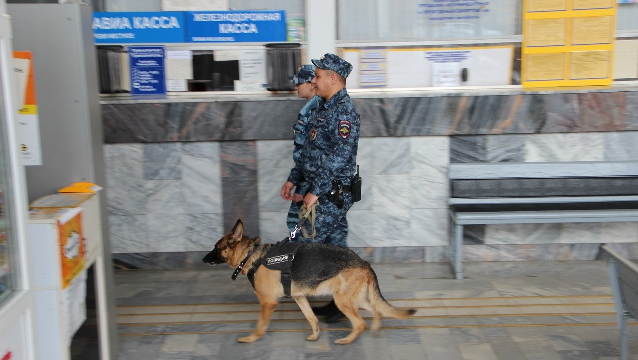 Ксения Калинина