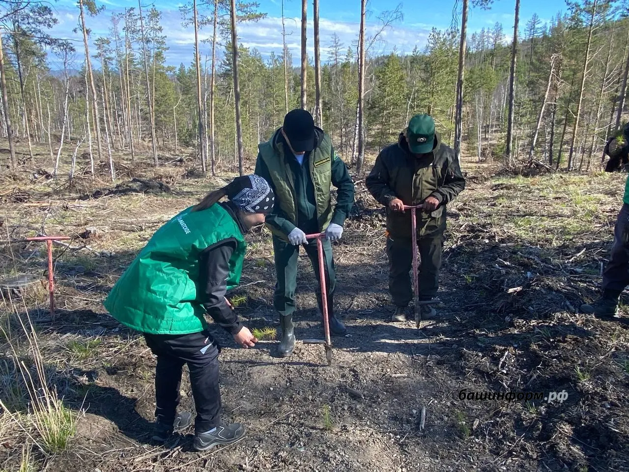 Инсаф Хужабирганов ИА «Башинформ»