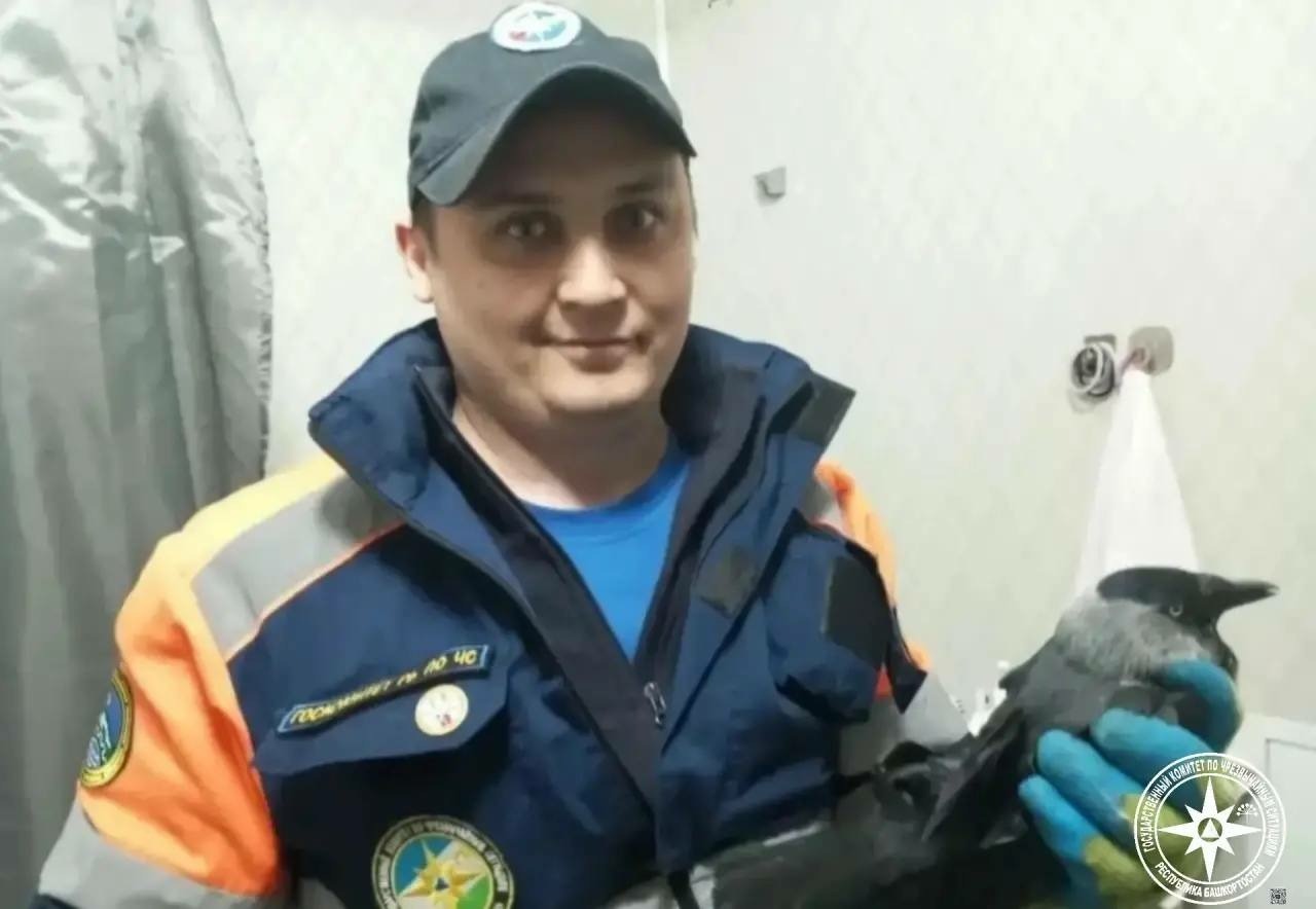 пресс-служба  Госкомитета РБ по ЧС