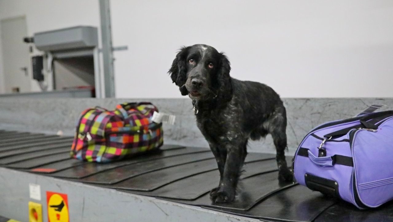 Валерий Шахов