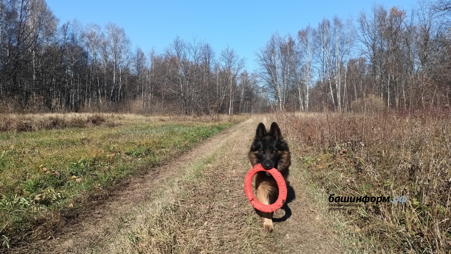 Валерий Шахов