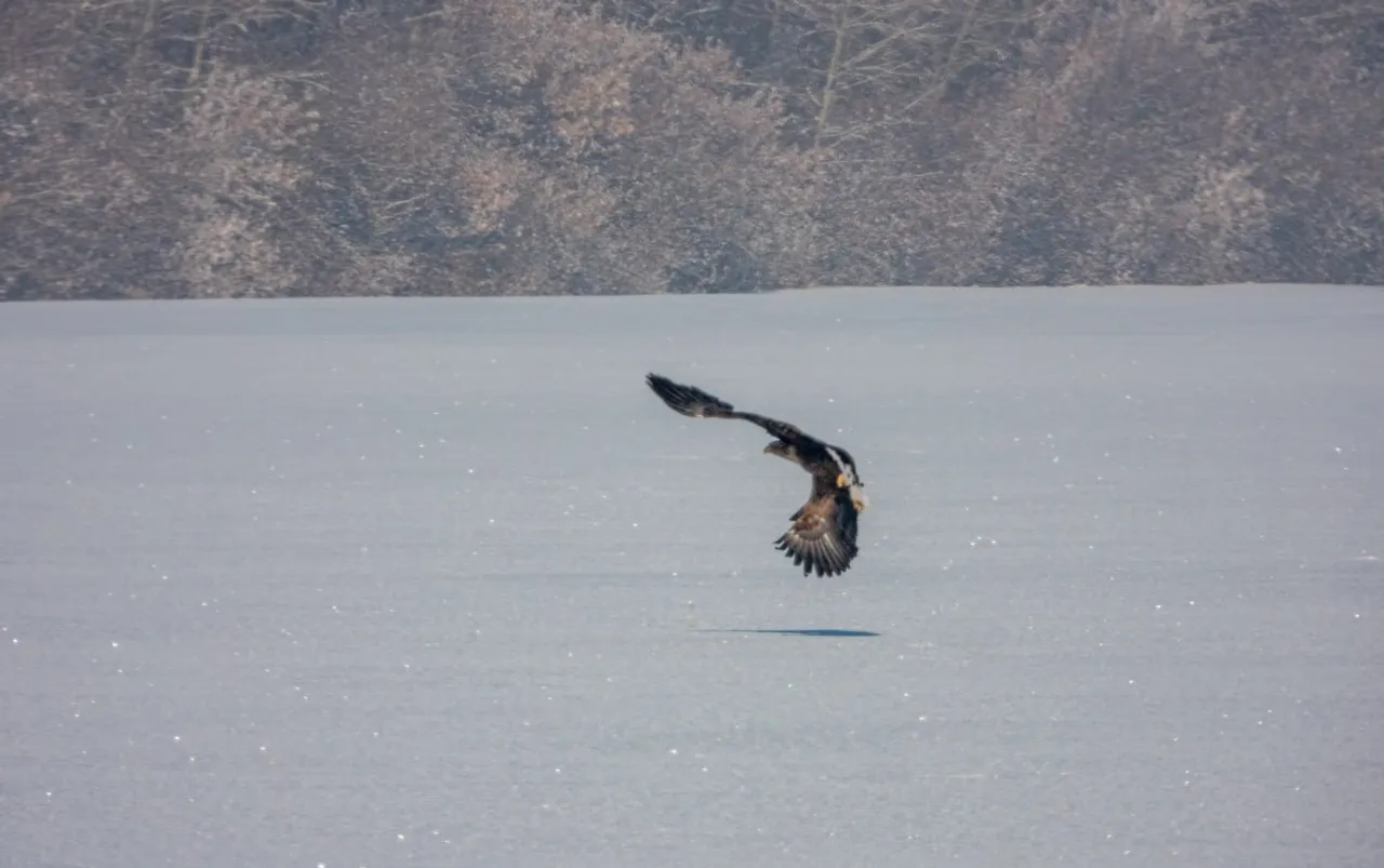 Рамиль Хамитов, телеграм-канал нацпарка «Башкирия»