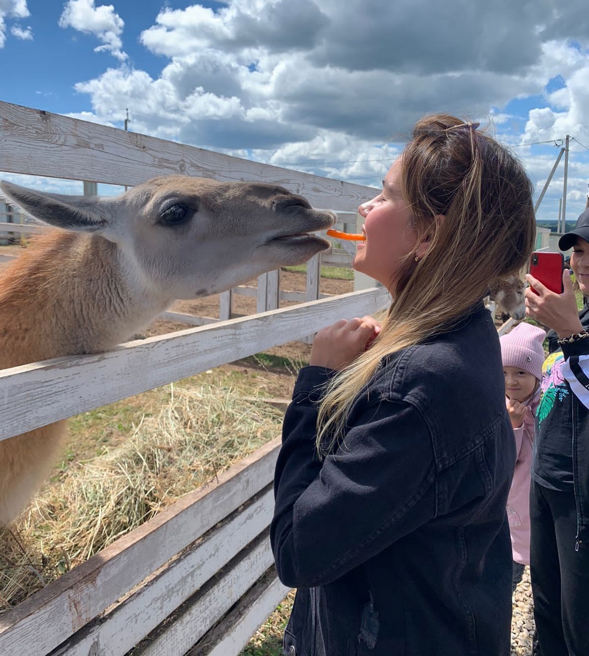 предоставлено героем публикации